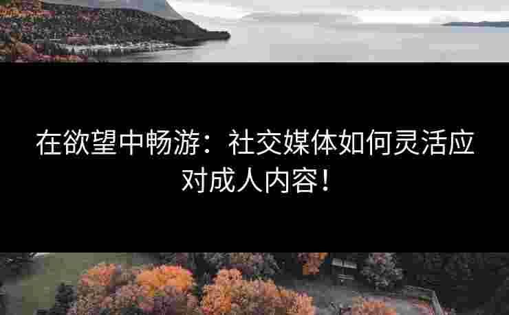 在欲望中畅游：社交媒体如何灵活应对成人内容！